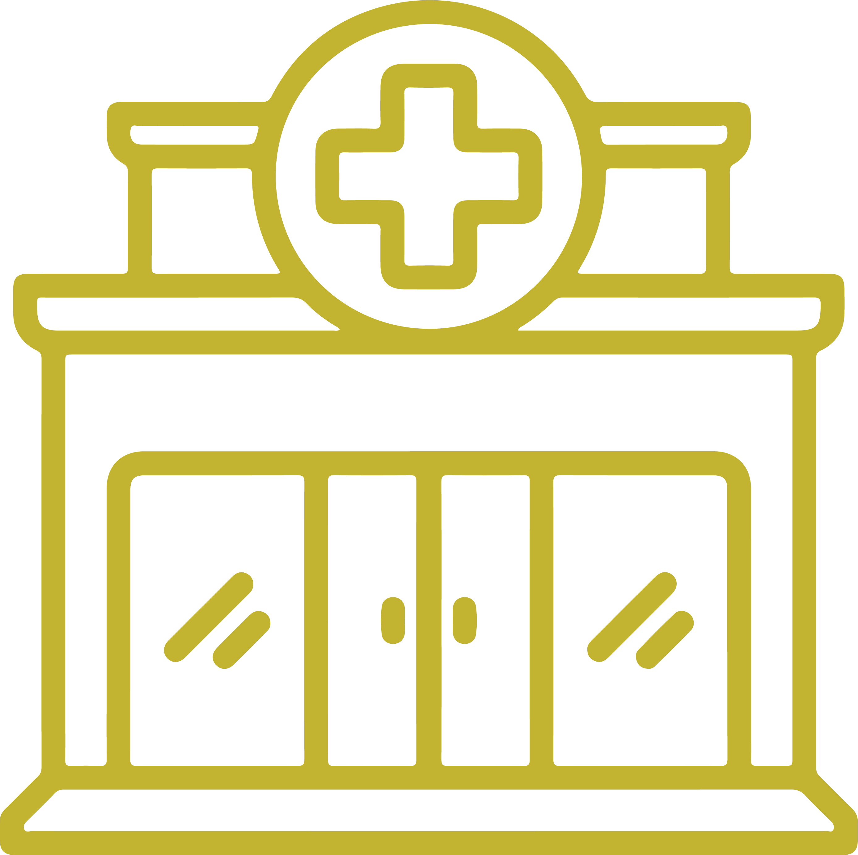 Medical or Civic Facility